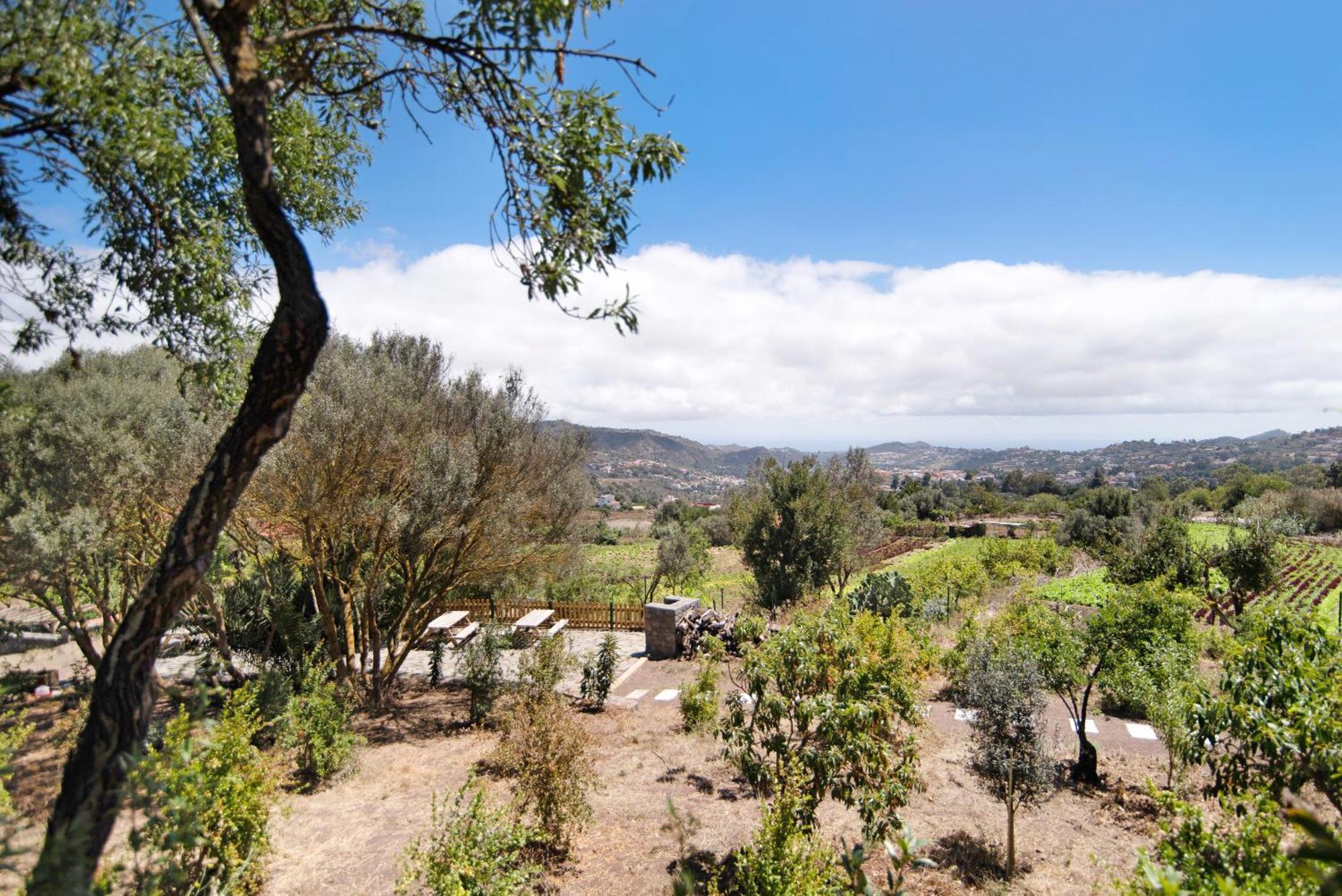 La Casita De La Orilla De Penate Villa Santa Brígida Eksteriør bilde