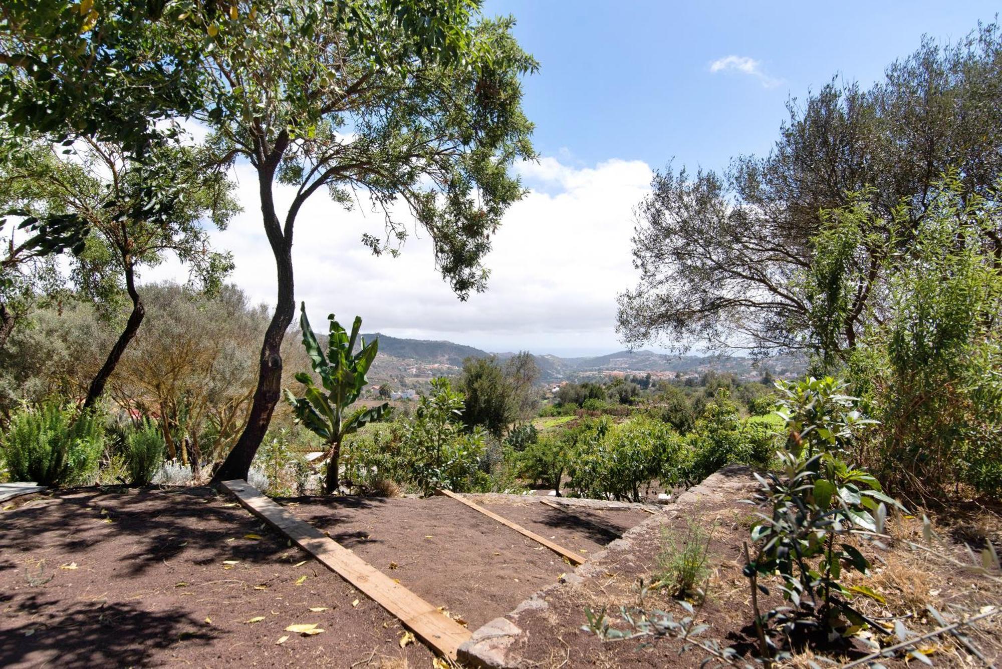 La Casita De La Orilla De Penate Villa Santa Brígida Eksteriør bilde